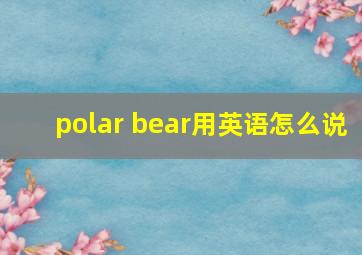 polar bear用英语怎么说